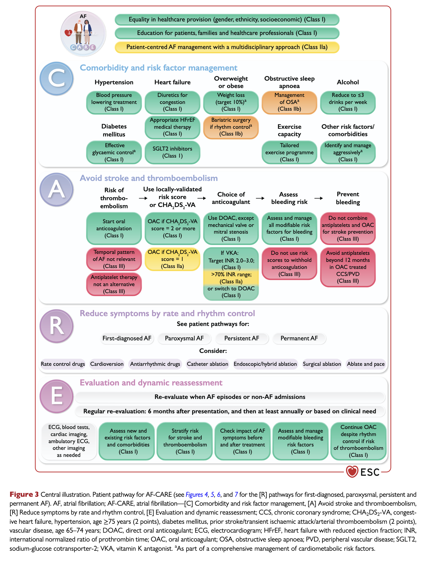 AF-CARE pathway overview